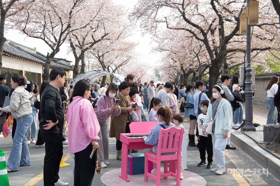 축제기간 동안 벚꽃거리 예술로를 조성해 다양한 행사가 펼쳐진다. 사진 / 경주문화재단