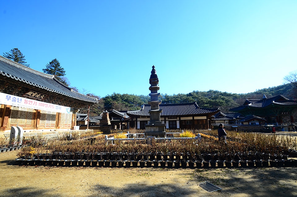 마곡사 대광보전 앞 5층 석탑은 원나라 라마불교의 영향을 받았다고 한다. 사진 / 노규엽 기자