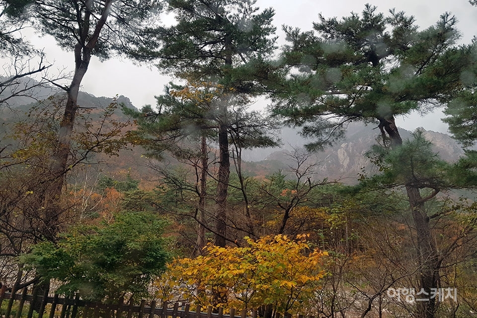 이튿날에는 비가 와서 권금성 케이블카 일정이 취소됐다. 사진 / 김영도ㆍ천기철 독자