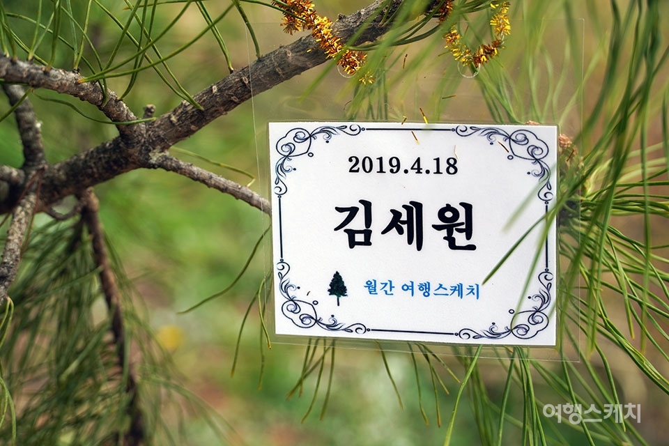 행사의 하이라이트 금강소나무 식재. 나무를 심고 각자의 이름표를 달았다.사진 / 김세원 기자