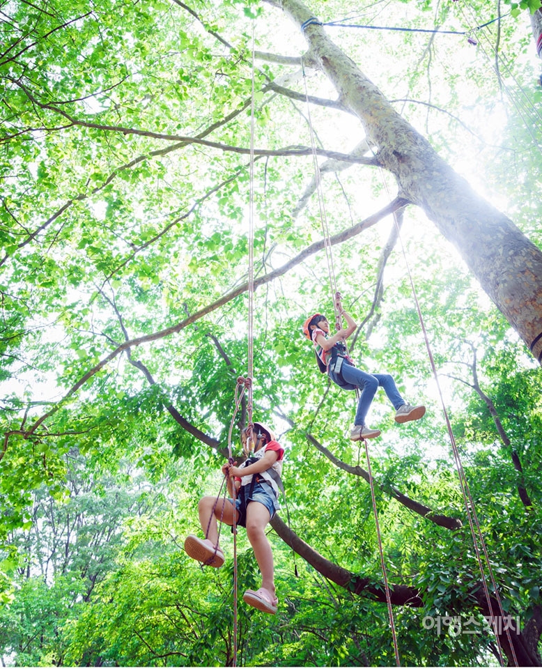 도심 속에서 아이들이 나무와 어울려 놀 수 있다. 사진제공 / 산림청
