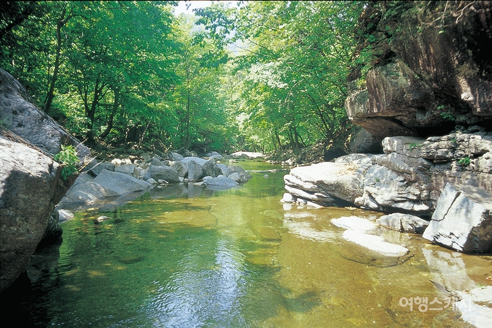 유명계곡의 맑은 계곡물 풍경. 2003년 7월. 사진 / 이민학 기자