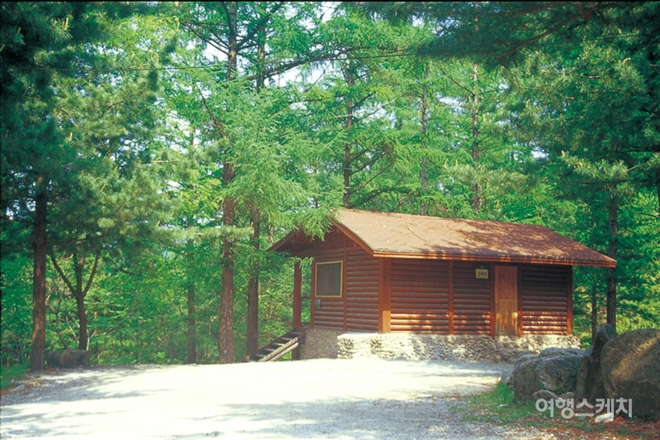 국내 최초의 삼림욕장답게 유명산 자연휴양림은 시설이 잘 되어 있다. 2003년 7월. 사진 / 이민학 기자