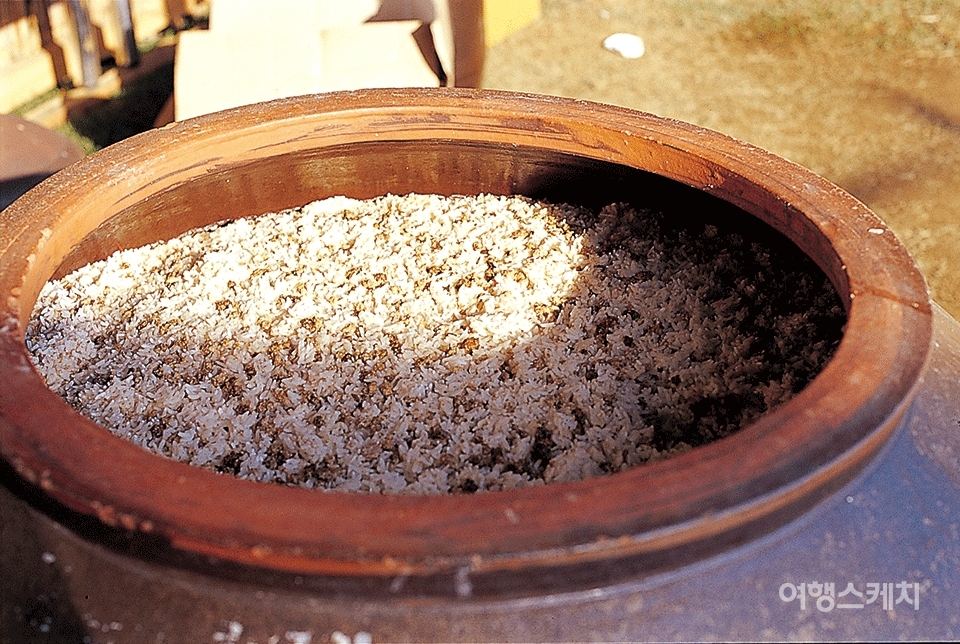 한산 소곡주를 빚어낼 누룩. 당연히 한산 인근에서 나는 우리 곡식 재료를 사용한다. 2003년 8월. 사진 / 김연미 기자