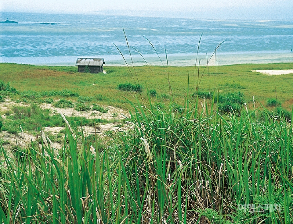 승봉도의 아름다운 풍경. 2003년 9월. 사진 / 김연미 기자