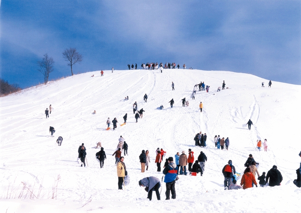 대관령 목장의 겨울 풍경. 2003년 10월. 사진제공 / 꽃을 찾는 사람들