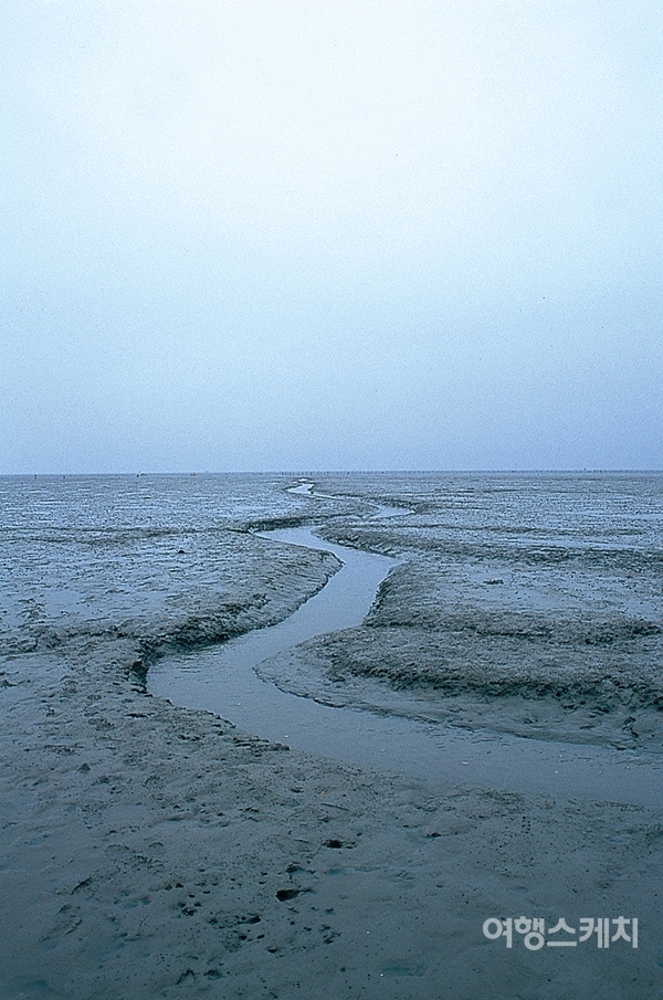 갯벌에도 물길이 있고 물길 양옆은 제법 단단해 걷기에 좋았다. 2003년 10월. 사진 / 이민학 기자