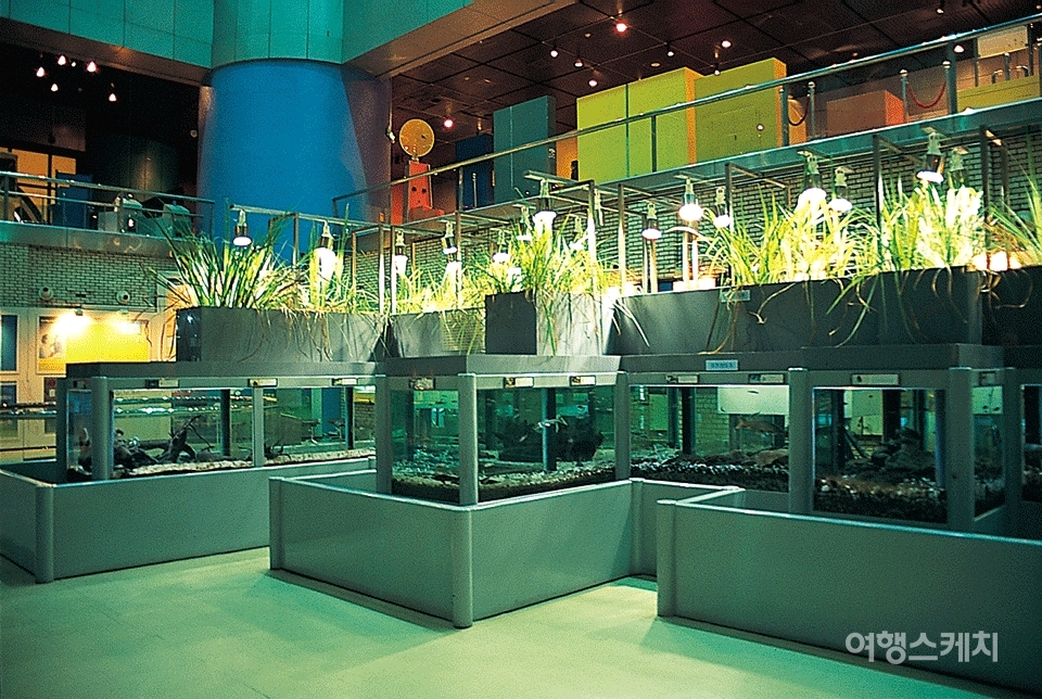 수생식물과 민물어류의 생태를 관찰할 수 있는 곳. 2004년 2월. 사진 / 이민학 기자