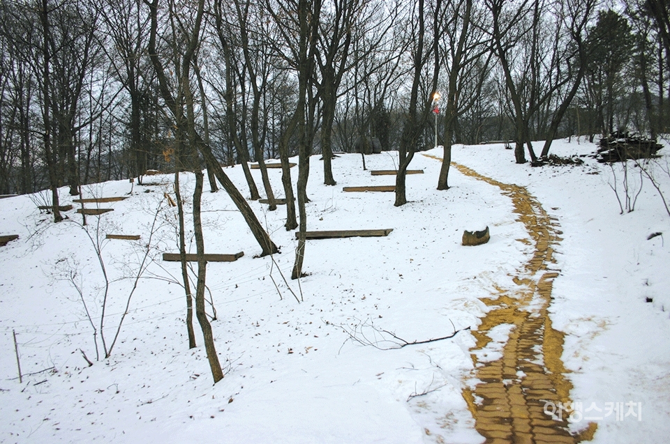 예술관 뒷편은 아늑한 산책로가 펼쳐져 있다. 2004년 3월. 사진 / 이종원 객원기자