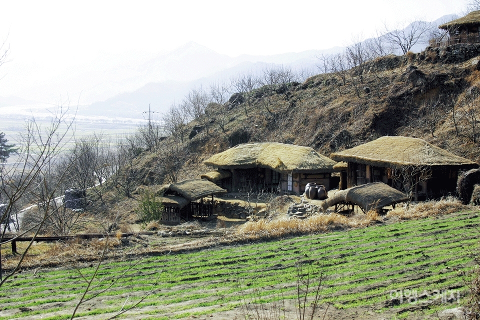 평사리는 이제 토지의 실제 마을로 변모한다. 집집마다 초가지붕을 얹어 옛스런 멋을 풍긴다. 2004년 4월. 사진 / 김정민 기자
