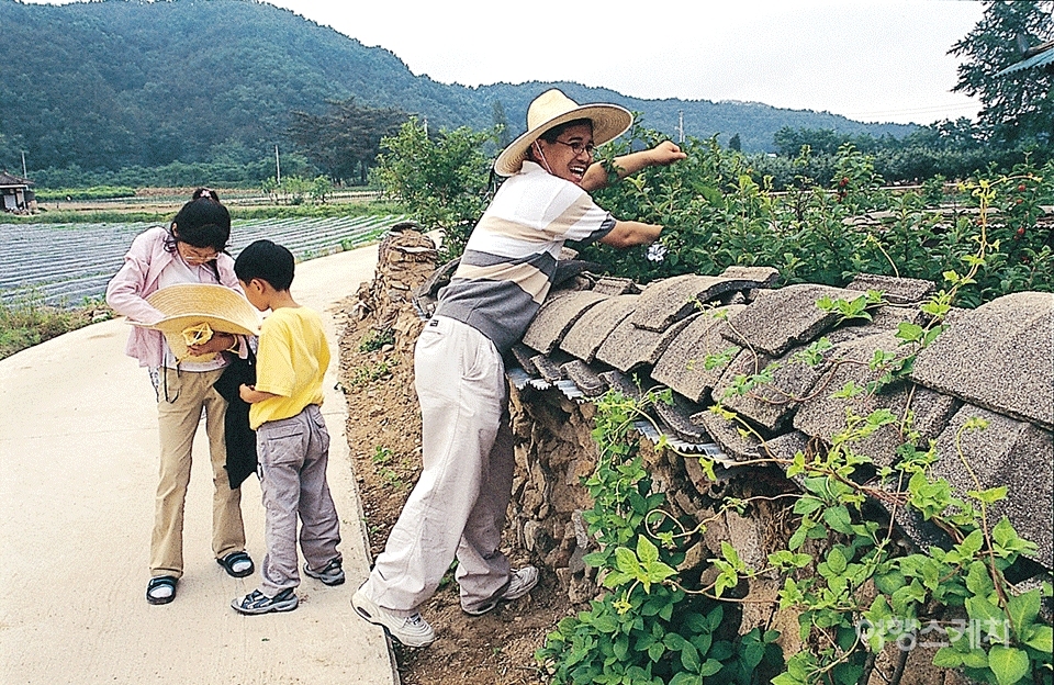 나라골은 농촌체험을 할 수 있는 인심좋은 마을이다. 2004년 7월. 사진 / 김연미 기자