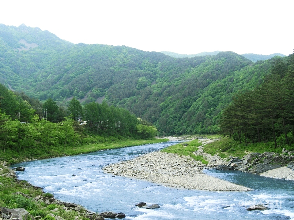 오대산 계곡 풍경. 2004년 7월. 사진 / 김선호 객원기자
