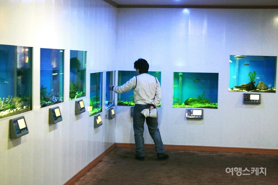 경상도 민물고기의 산지 민물고기 전시관. 2004년 11월. 사진 / 김정민 기자