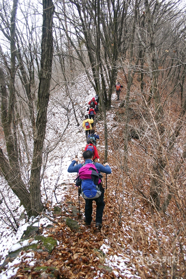 눈이 내린 산길을 따라 더운 숨을 내쉬며 묵묵히 걷는 대원들. 2005년 1월. 사진 / 박상대 기자