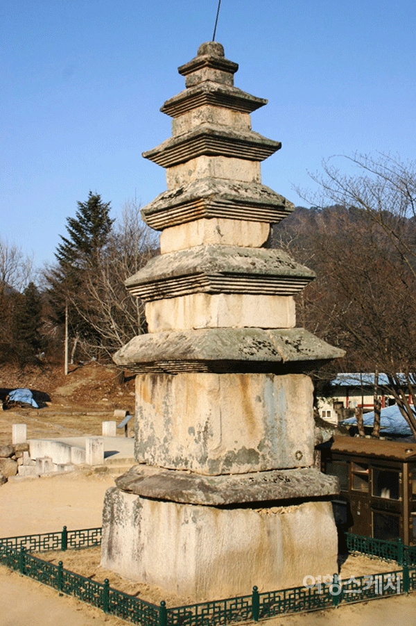 미륵리 5층 석탑. 2005년 3월. 사진 / 박상대 기자