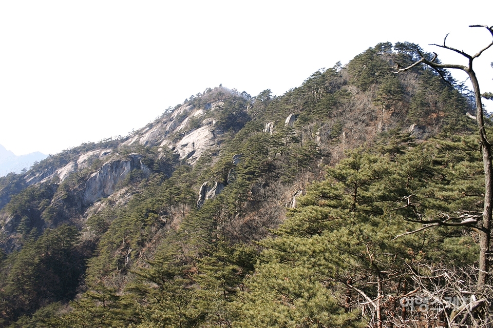포암산 풍경. 2005년 3월. 사진 / 박상대 기자