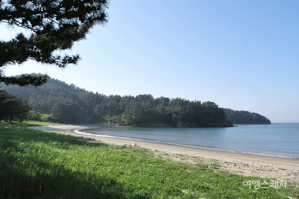 신너루해수욕장은 가족 야영에 적당한 곳이다. 2005년 7월. 사진 / 김진용 기자