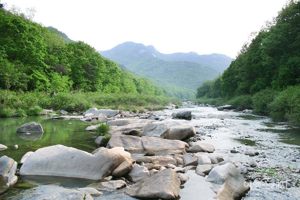 선유동 계곡에는 신선들이 놀았음직한 너른 바위들이 많다. 2005년 7월. 사진 / 박상대 기자