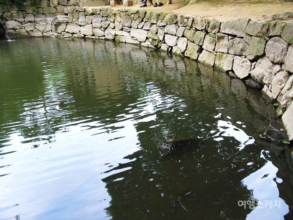 남간정사 연못은 전통 연못의 모양인 방지(方池)가 아니라 곡지(曲池)다. 2005년 8월. 사진 / 김진용 기자