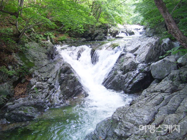 강선리 계곡은 시원하고 맑은 물이 흐른다. 물소리를 들으며 산길을 걷는 재미가 있다. 2005년 8월. 사진 / 박상대 기자