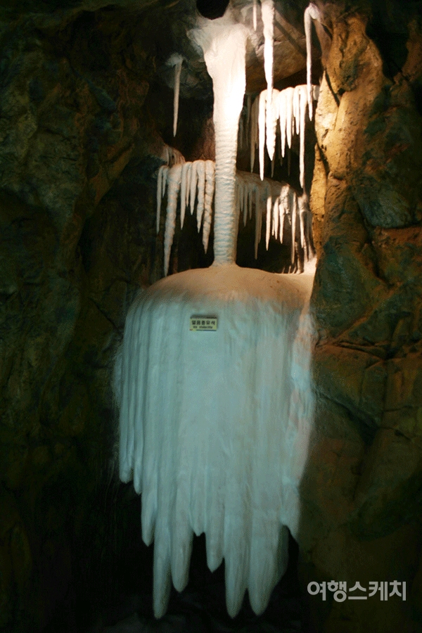 삼척 동굴 내부에서 생성되는 종유석. 2005년 8월. 사진 / 노서영 기자