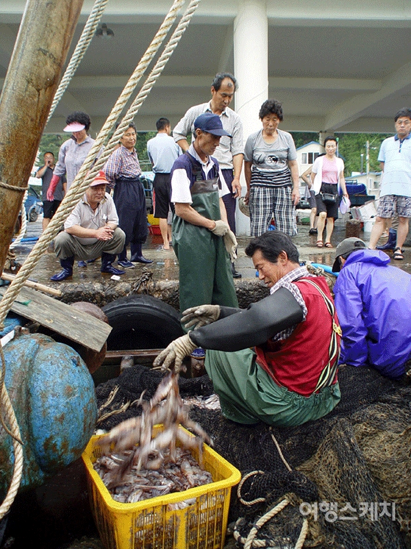 잡아온 오징어를 포구에 내리고 있는 모습. 2005년 9월. 사진 / 구동관 객원기자
