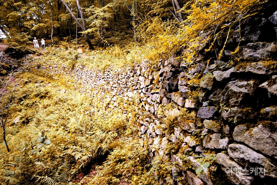 졸본성의 동쪽 성곽. 2천년을 견디어 왔다. 2005년 10월. 사진 / 이종원 객원기자