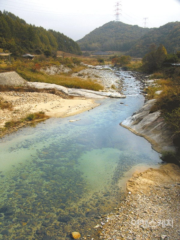맑은 물이 흐르고 한적한 섬강의 모습. 2005년 12월. 사진 / 김진용 기자