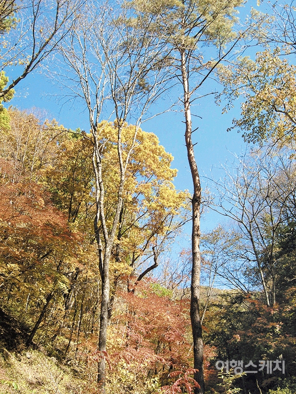방태산의 가을산이 마냥 곱기만 하다. 2005년 12월. 사진 / 김선호 객원기자