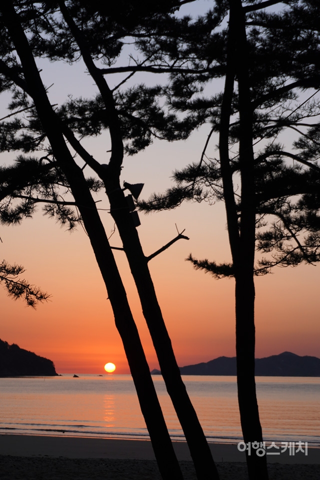 갈음이해변은 솔숲은 영화 '번지점프를 하다'를 촬영한 곳이기도 하다. 사진 노규엽 기자