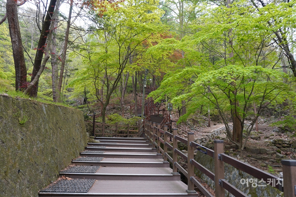 대전 보문산은 숲길을 걸으며 올라 대전 시가지를 내려다볼 수 있는 산이다. 사진 / 노규엽 기자