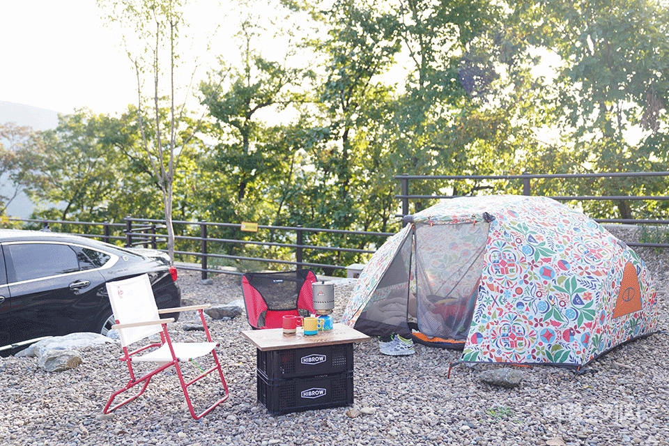 아침햇살이 비추는 숲속캠핑장. 사진 / 권다현 여행작가