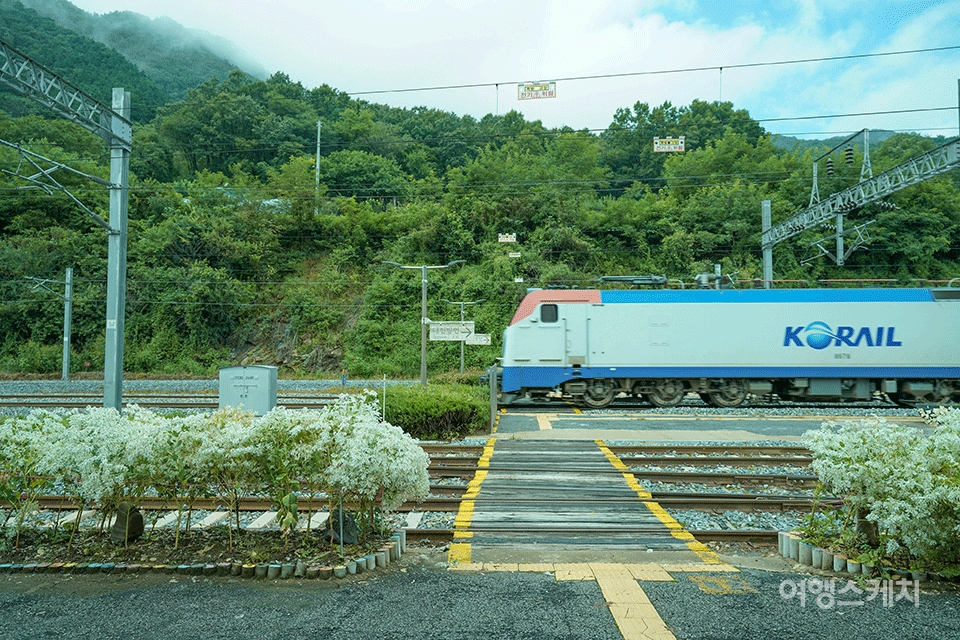 삼탄역을 지나는 열차. 사진 / 권다현 여행작가