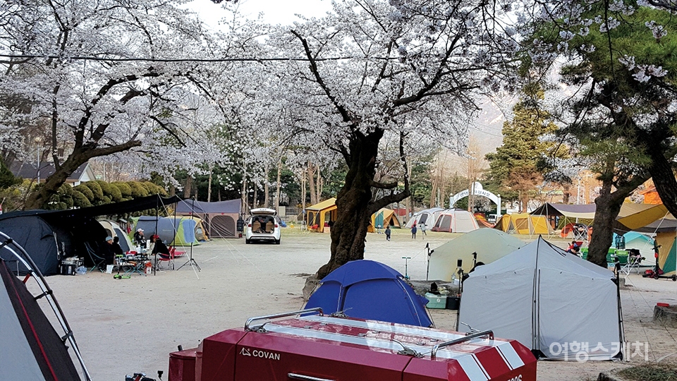 도봉산숲속캠핑장. 사진/Ⓒ 도봉산숲속캠핑장