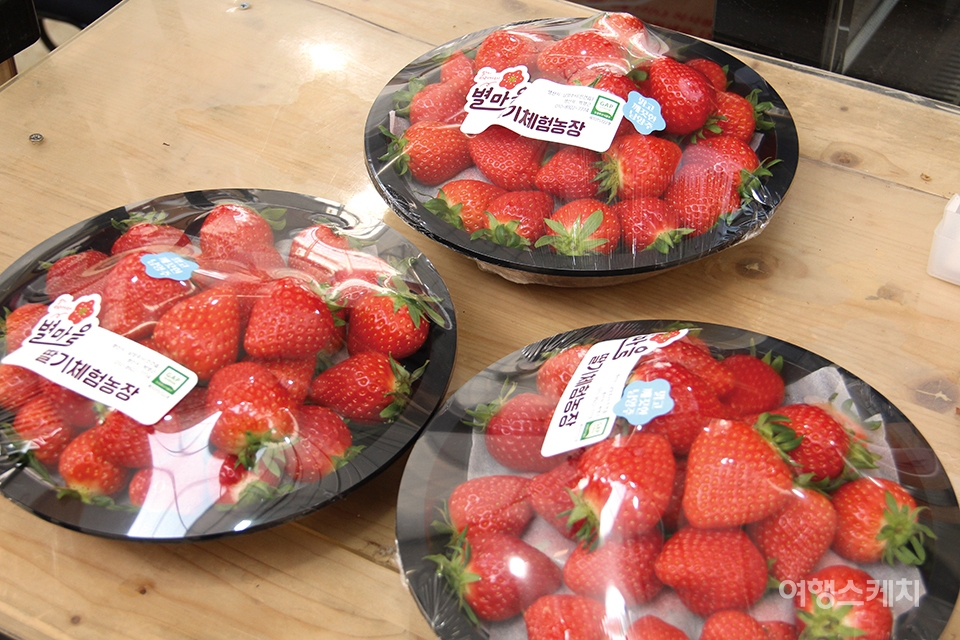농장에서는 딸기도 판매한다.