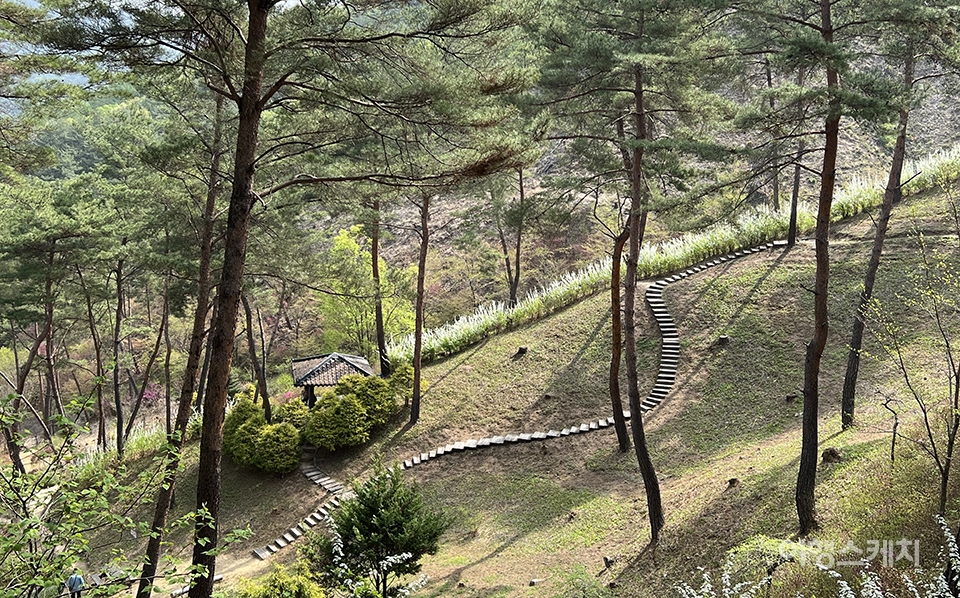 계단과 오솔길, 그리고 푸른 잔디가 싱그러운 봄의 풍경을 연출하고 있는 척야산 문화수목원. 사진 / 조용식 기자