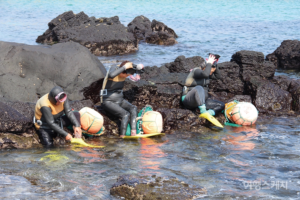 가까운 바다에 들어가기 전 물안경을 착용하고 물갈퀴를 착용하는 해녀들.