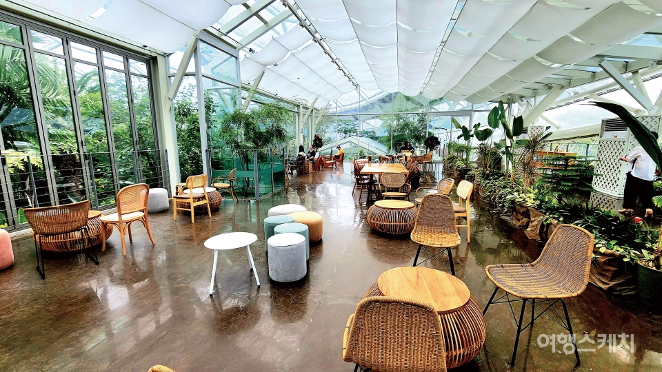통창으로 식물원 감상이 가능한 수피아 카페. 사진 / 이해열 기자