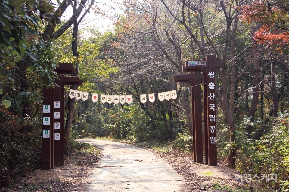 월출산 국립공원과 영암군청이 함께 만든 길. 영암읍 녹암마을에서 시작한다. 사진 / 박상대 기자