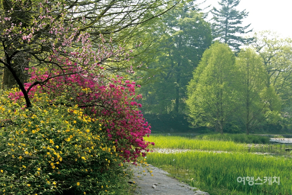 식목일이 있는 4월, 국립수목원을 찾아 자연을 느껴보는 여행은 어떨까? 사진 / 국립수목원