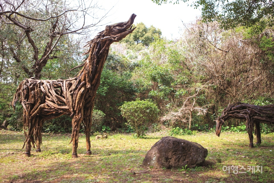 한라산 고사목을 활용해 제주 조랑말을 형상화 한 이승수 작가의 '영원한 생명'. 사진 / 김도형 사진작가